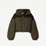 FENDI Hooded quilted coated canvas-jacquard down ski jacket