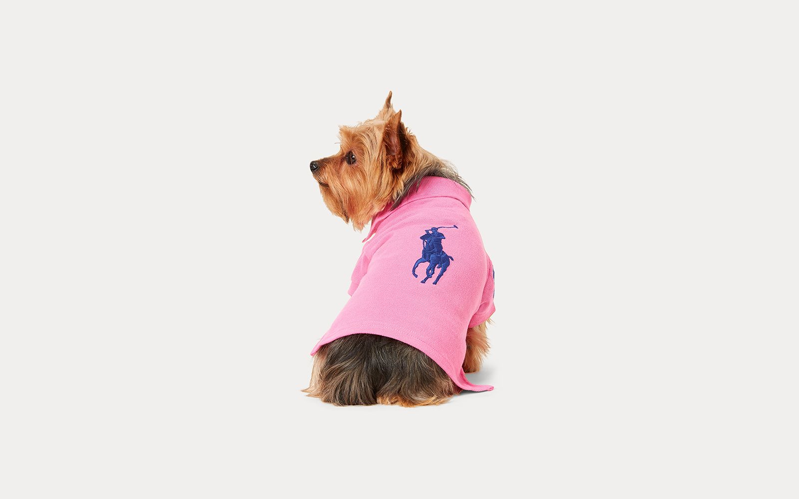 POLO RALPH LAUREN Big Pony Dogs