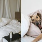 Aesthetic duvet covers for your bedroom Living the warm hug of bed moments makes winter better