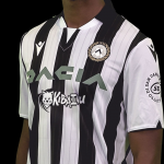 A memecoin has arrived in the Italian league Udinese are the latest team to join this large list by signing Kiba Inu