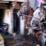 The true flavours of Marrakech