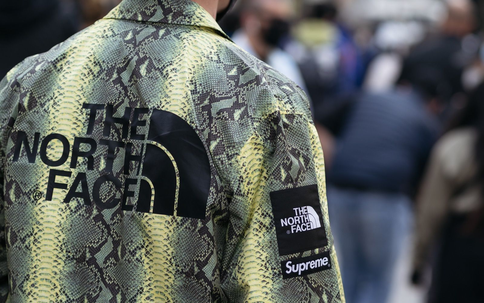 Supreme tnf outlet snakeskin jacket