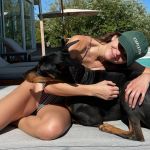 Gli accessori estivi per il benessere dei propri amici animali Vi suggeriamo gli essenziali per rinfrescare i nostri fedeli amici con una survival shopping guide