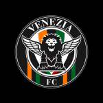 Il Venezia ha cambiato logo Lo storico Leone di San Marco si trasferirà dentro uno stemma a V | Image 418093