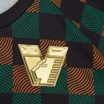 Il Venezia ha cambiato logo Lo storico Leone di San Marco si trasferirà dentro uno stemma a V | Image 417981