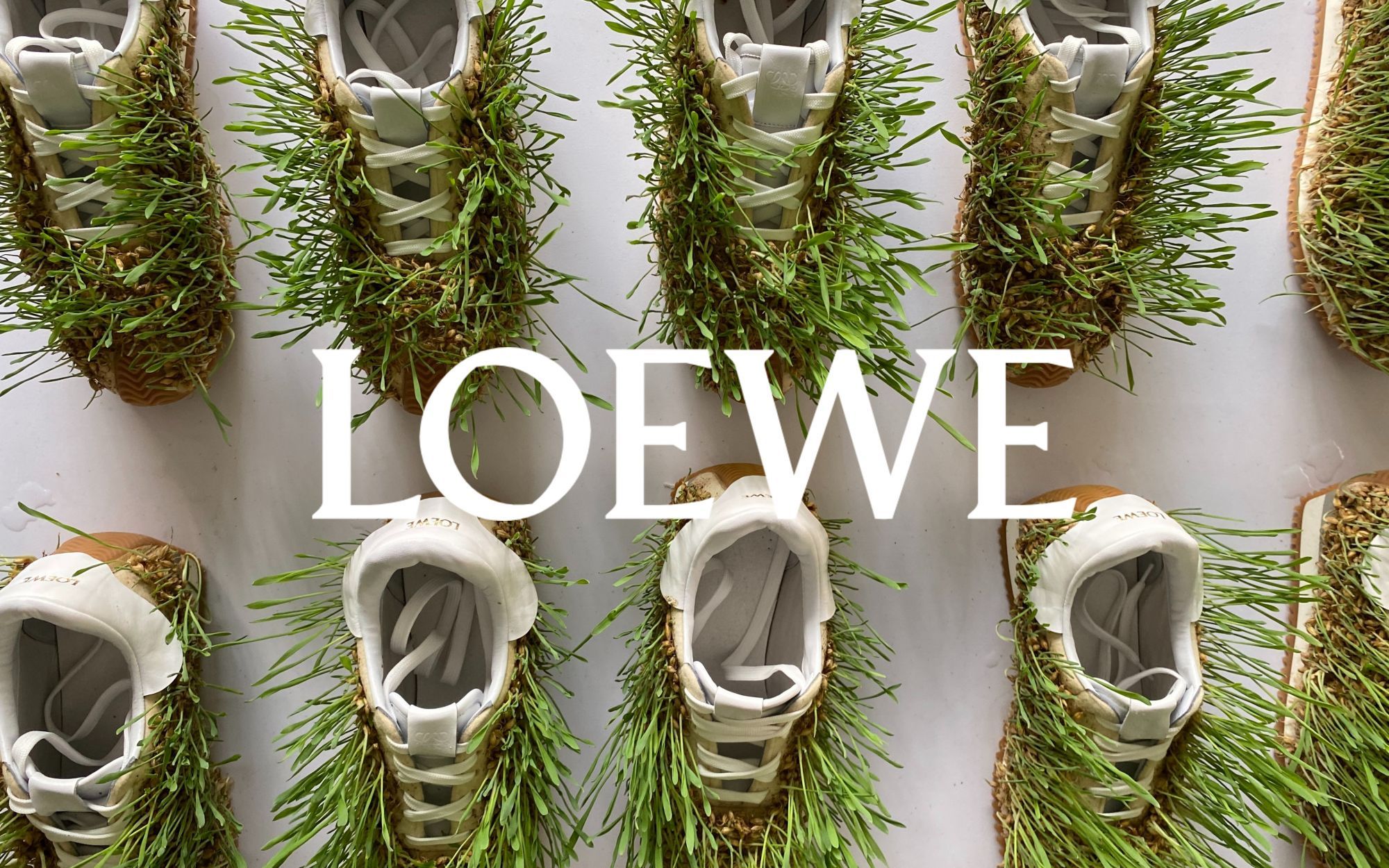 Loewe sustainability discount report