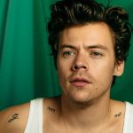 What is happening to Harry Styles? From the TikTok theory on his baldness and the Texas State University digital history based on him