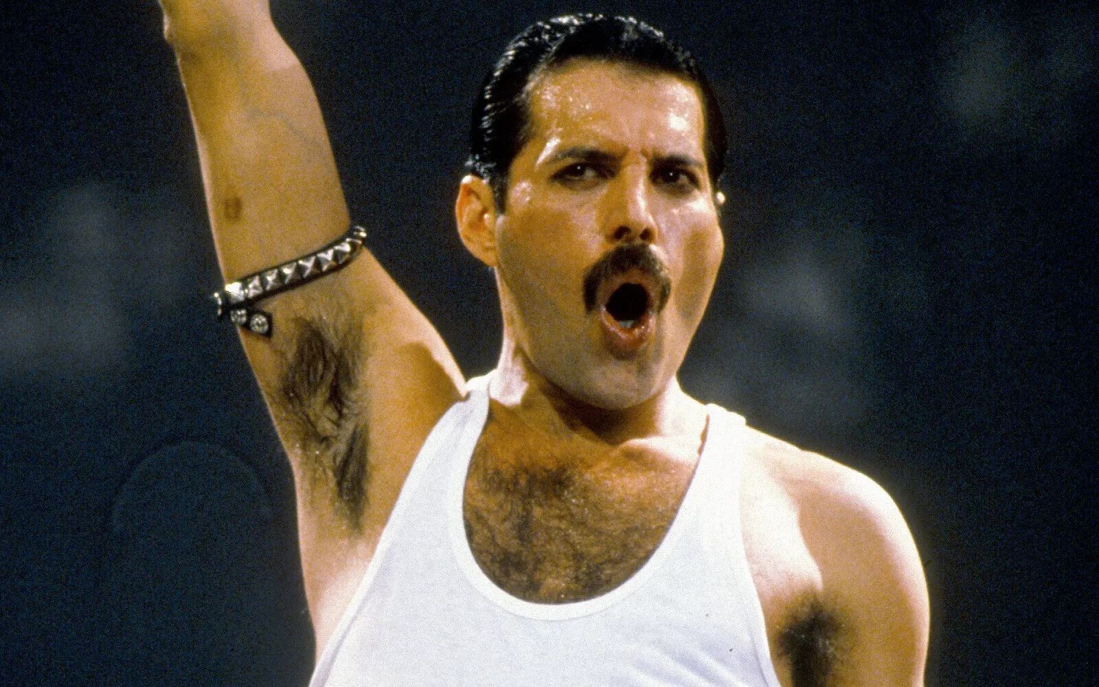 The importance of beauty and fashion for Freddie Mercury