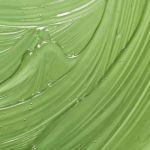 Skincare Glossary: Is aloe vera really good for the skin? The pros and cons of this natural ingredient