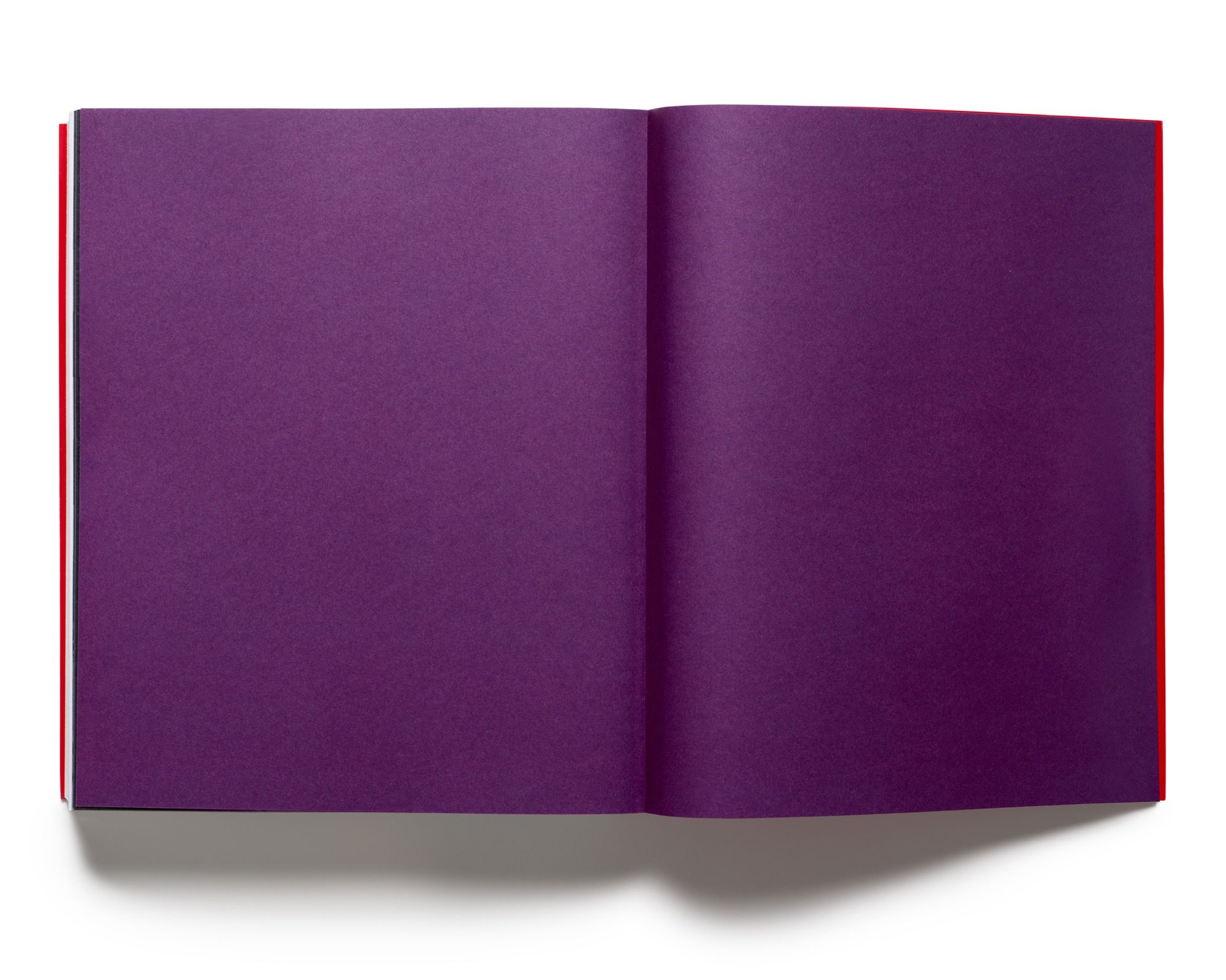 Acne Studios presents the new issue of Acne Paper - nss magazine