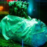I funghi potrebbero essere il futuro nello smaltimento dei rifiuti tessili? Forse l’iniziativa più sostenibile non è utilizzare il micelio per creare nuovi prodotti, quanto piuttosto per distruggerli