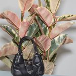 The new Prada Moon bag for Spring/Summer 2023 The iconic Y2K model gets a new look for next season, between bright colours and echoes of the sailing world | Image 438681