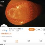 Bottega Veneta Returns to Chinese Social Media After Two-year