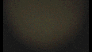 versace jeans couture | Madrid_T_1.gif