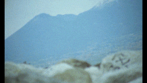 versace jeans couture | Naples_T_11.gif