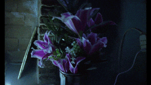 versace jeans couture | Naples_T_15.gif