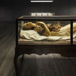 The study of the human body on display at Fondazione Prada Cere Anatomiche: La Specola di Firenze tells the story of the human body through its most faithful reproduction | Image 446471