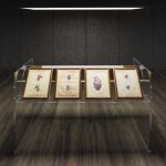 The study of the human body on display at Fondazione Prada Cere Anatomiche: La Specola di Firenze tells the story of the human body through its most faithful reproduction | Image 446468