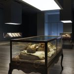 The study of the human body on display at Fondazione Prada Cere Anatomiche: La Specola di Firenze tells the story of the human body through its most faithful reproduction | Image 446477