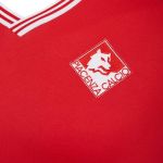 Teams crest with wolves An animal suspended between instinct and reason, and representing the dynamics of the game of football | Image 449698