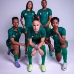 The South African national team had its jerseys made by fans Le Coq Sportif after the failure of the last few releases relied on a competition | Image 450567
