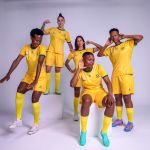 The South African national team had its jerseys made by fans Le Coq Sportif after the failure of the last few releases relied on a competition | Image 450566