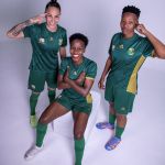 The South African national team had its jerseys made by fans Le Coq Sportif after the failure of the last few releases relied on a competition | Image 450565