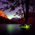 Landscape Lights