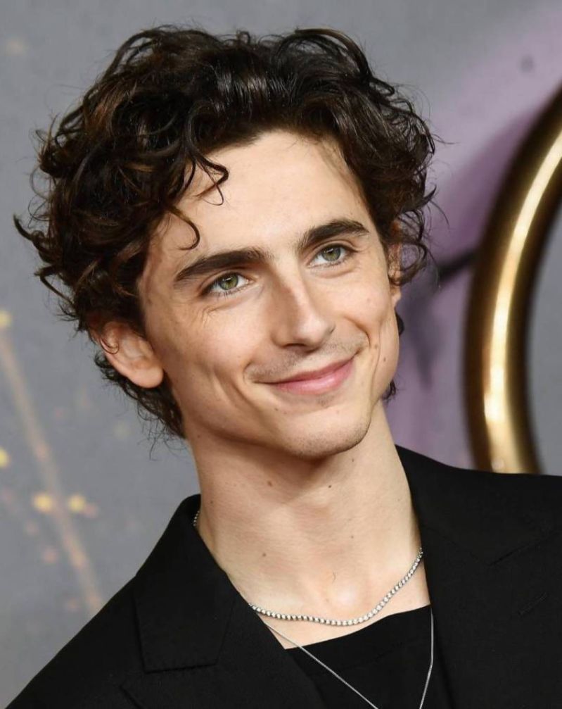 Does Timothée Chalamet represent contemporary male beauty?