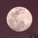 Gli effetti delle due superlune di agosto Come le lune piene del 1° e del 31 agosto influenzeranno ogni segno zodiacale | Image 464285