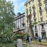 Cosa succederà agli alberi caduti di Milano? Tra i 5mila caduti, una quercia monumentale di quasi 150 anni
