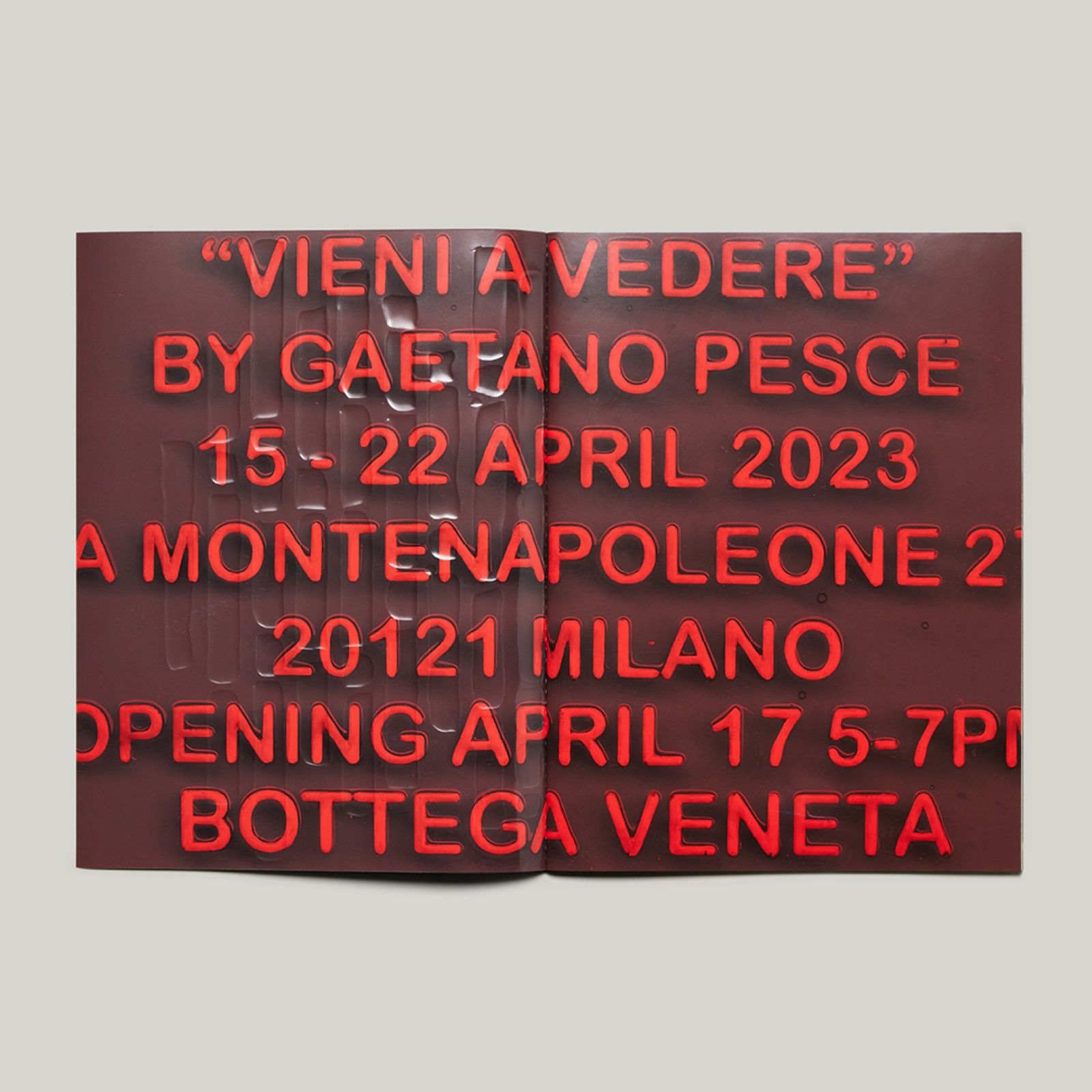 アート・デザイン・音楽 BOTTEGA VENETA fanzine 2022 winter アート