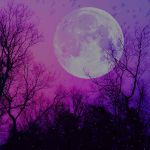 Halloween Spooky Beauty Evento