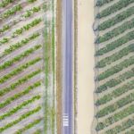 Come la crisi climatica mette a repentaglio il Made in Italy Le alluvioni hanno colpito uno dei più grandi distretti tessili d'Europa, Prato