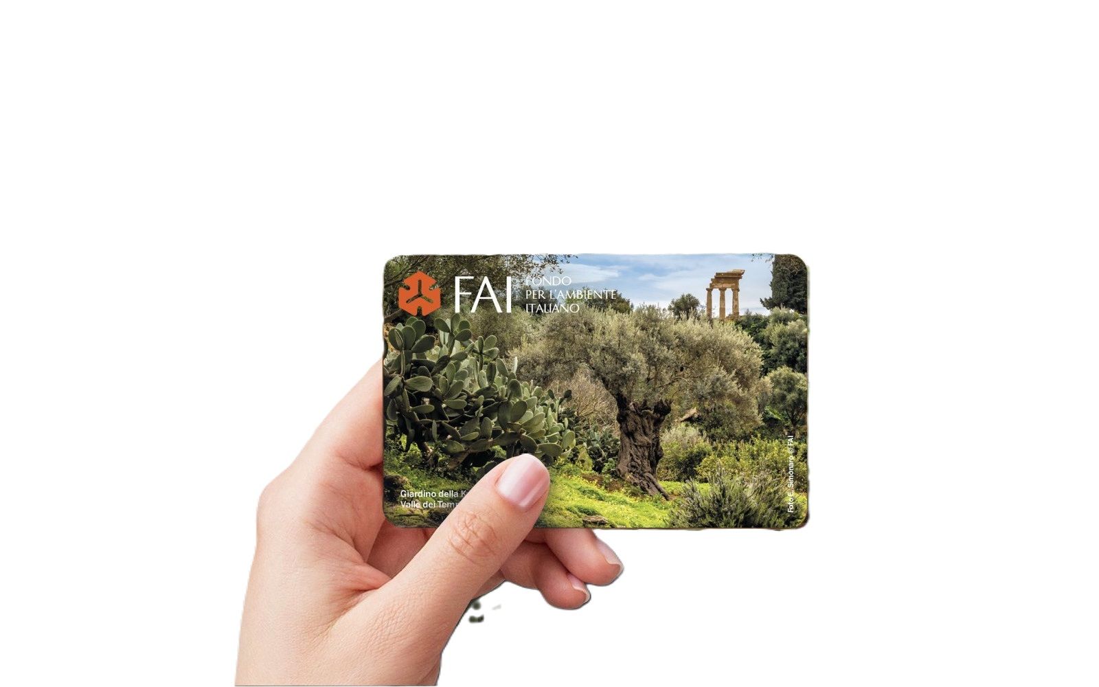 FAI Tessera di coppia