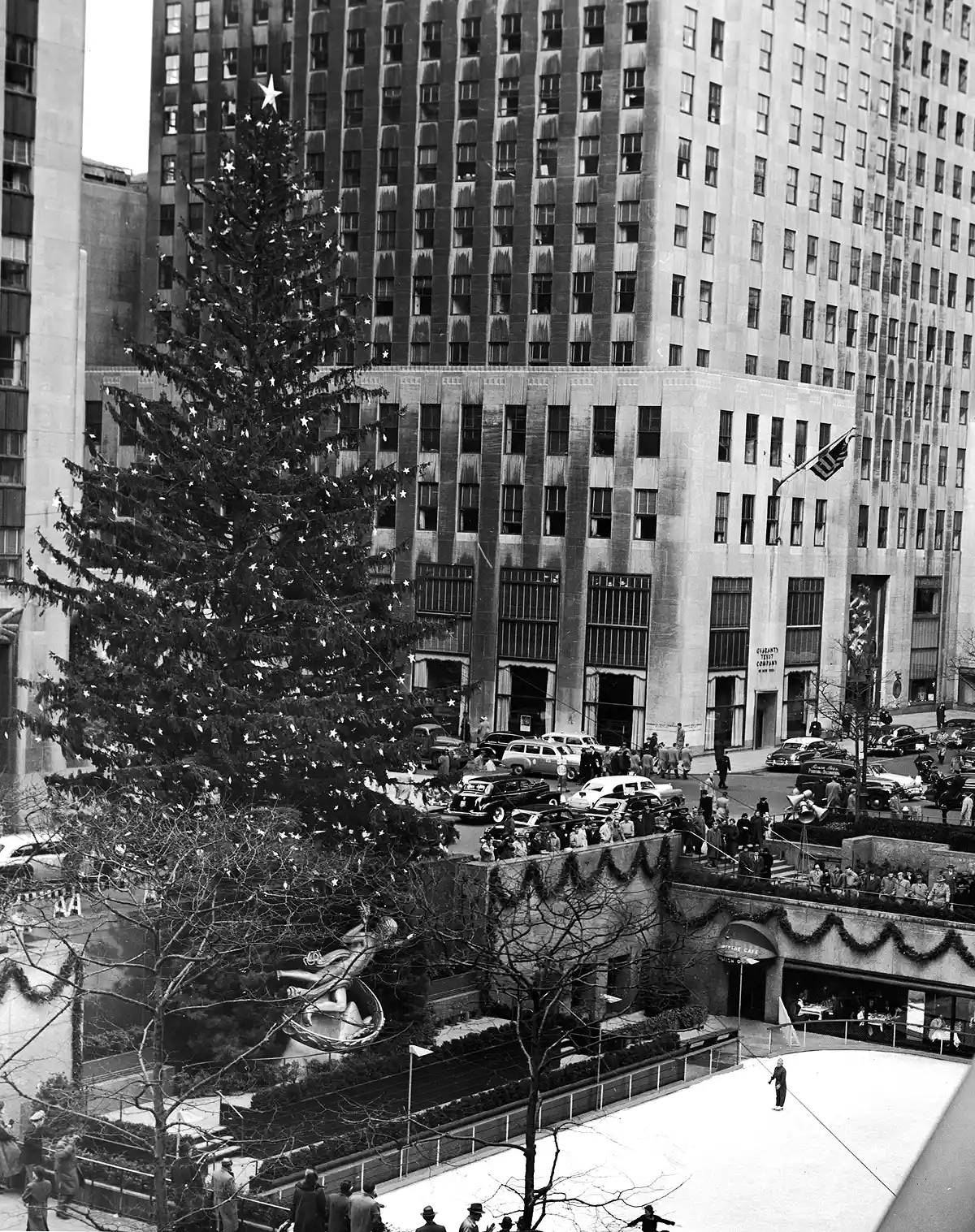 Da dove provengono gli alberi di Natale del Rockefeller Center di New York?  La storia della decorazione natalizia più famosa al mondo  | Image 481032