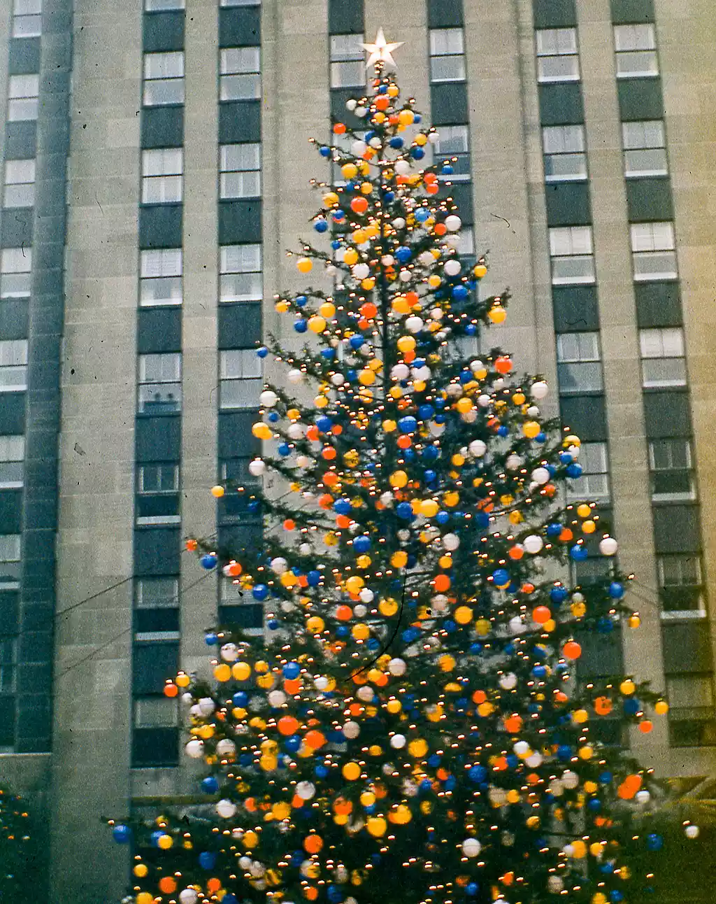 Da dove provengono gli alberi di Natale del Rockefeller Center di New York?  La storia della decorazione natalizia più famosa al mondo  | Image 481031