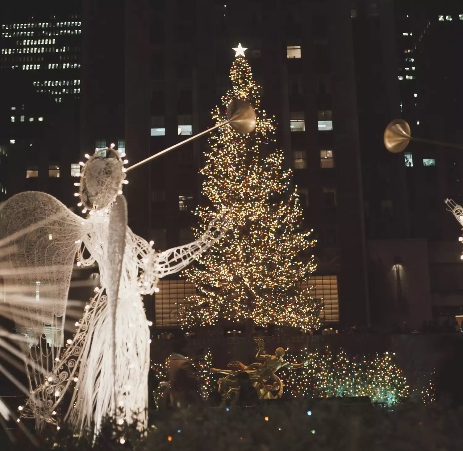 Da dove provengono gli alberi di Natale del Rockefeller Center di New York?  La storia della decorazione natalizia più famosa al mondo  | Image 481030