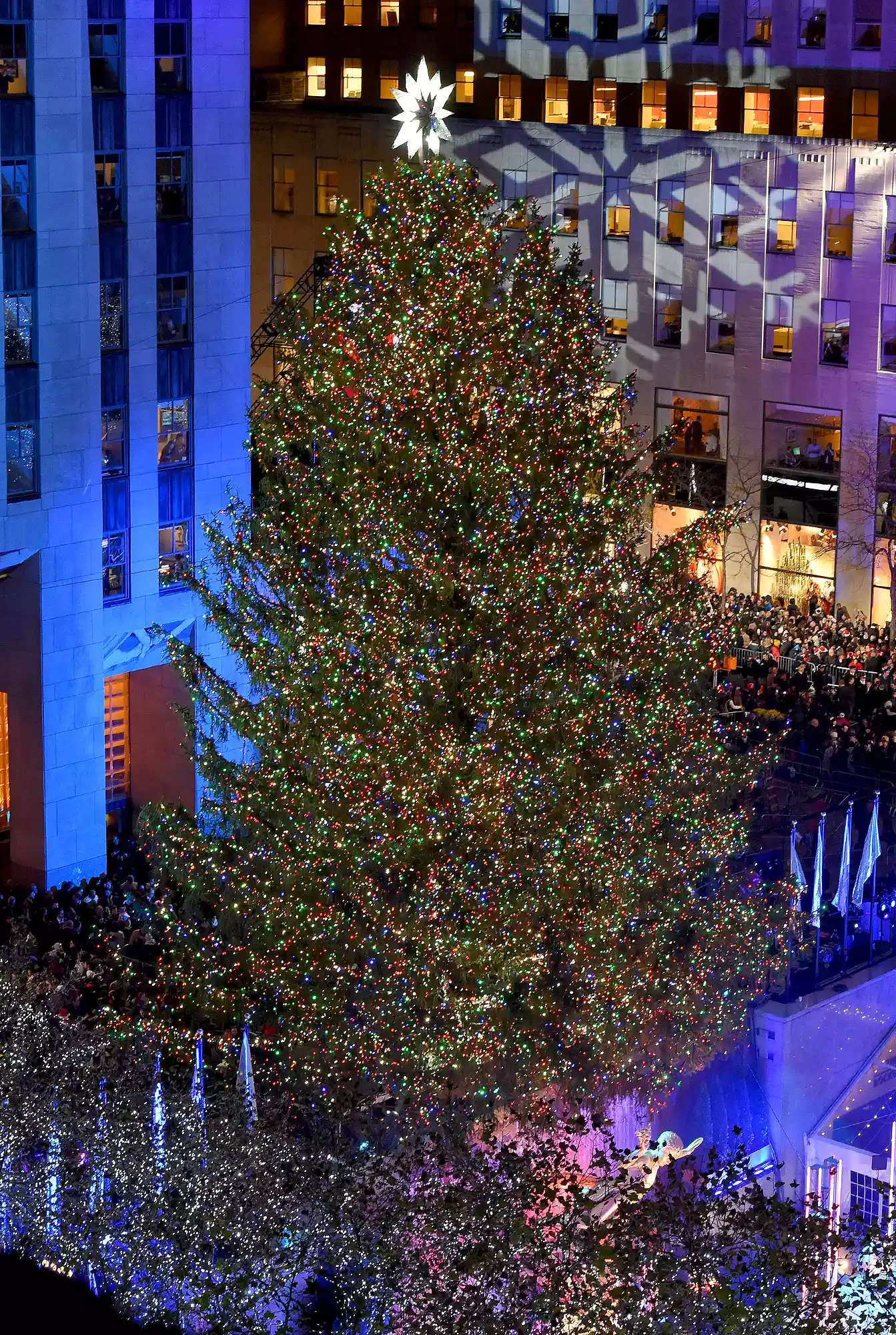 Da dove provengono gli alberi di Natale del Rockefeller Center di New York?  La storia della decorazione natalizia più famosa al mondo  | Image 481028