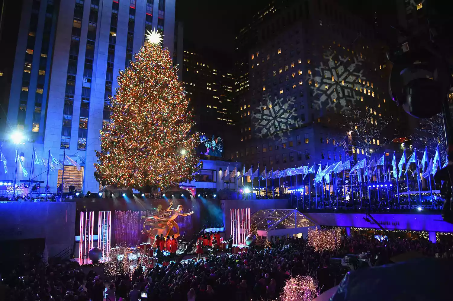 Da dove provengono gli alberi di Natale del Rockefeller Center di New York?  La storia della decorazione natalizia più famosa al mondo  | Image 481027