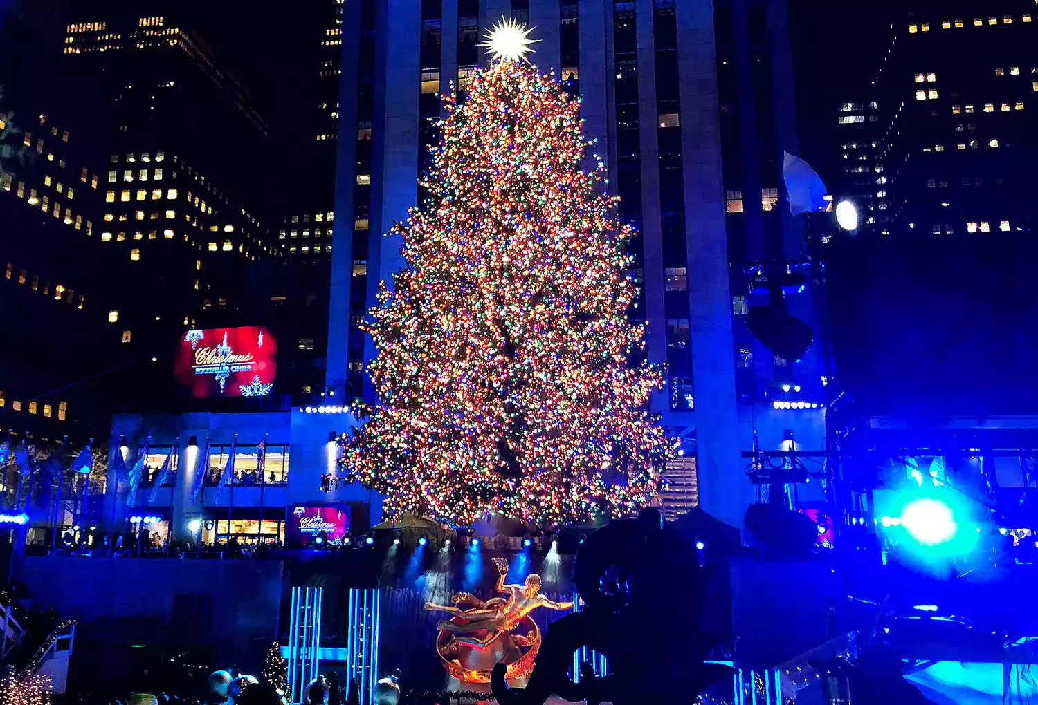 Da dove provengono gli alberi di Natale del Rockefeller Center di New York?  La storia della decorazione natalizia più famosa al mondo  | Image 481026