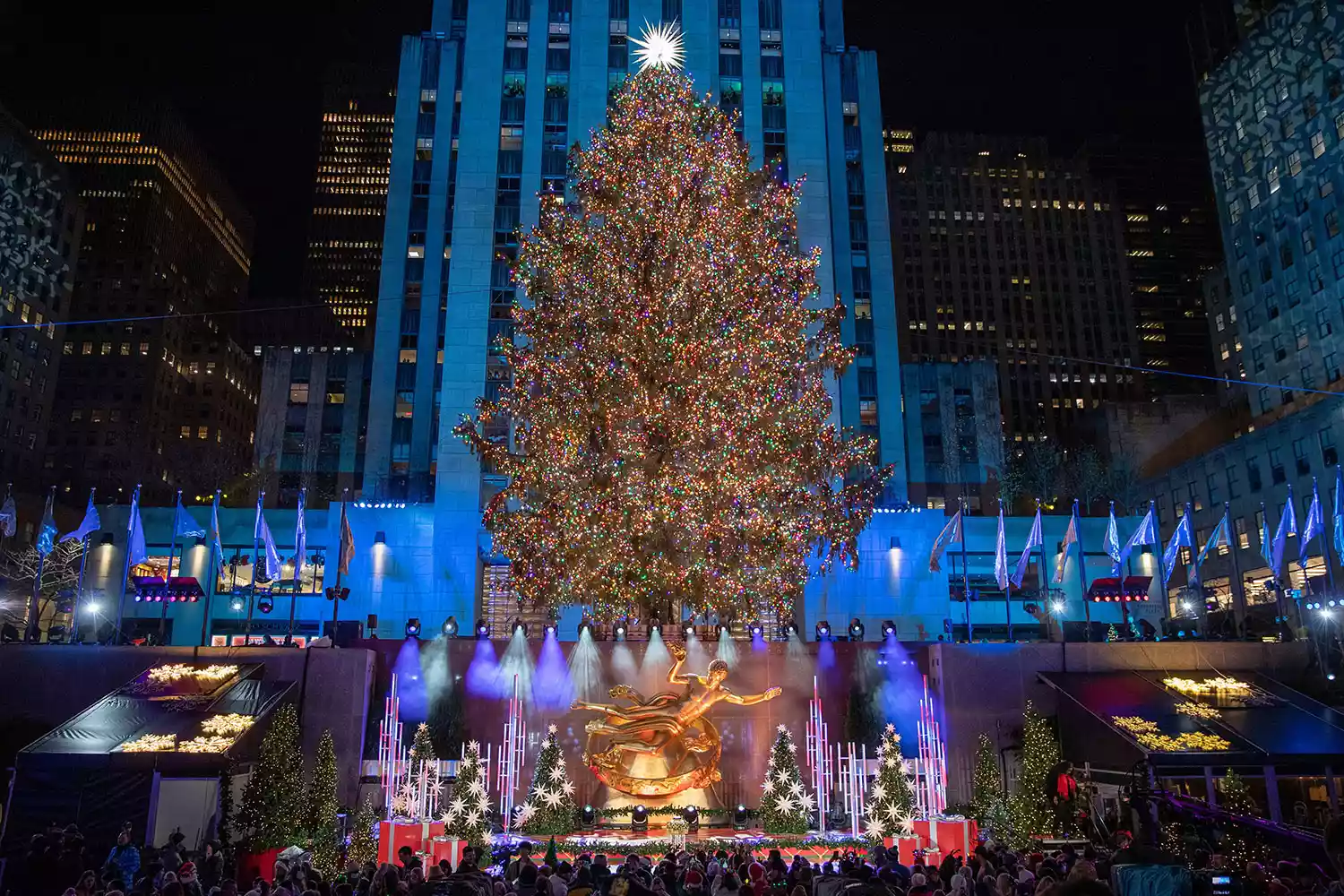 Da dove provengono gli alberi di Natale del Rockefeller Center di New York?  La storia della decorazione natalizia più famosa al mondo  | Image 481024