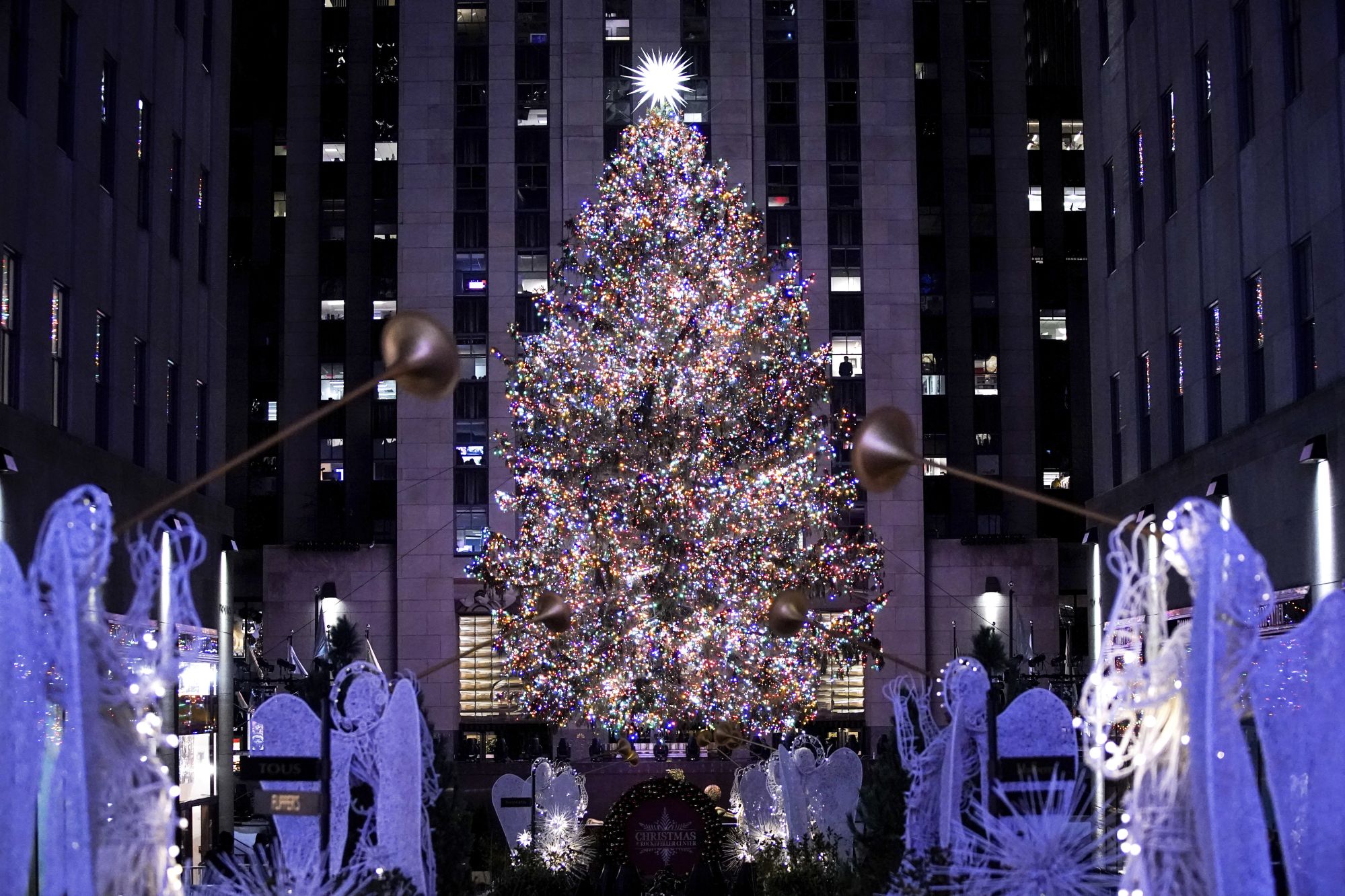 Da dove provengono gli alberi di Natale del Rockefeller Center di New York?  La storia della decorazione natalizia più famosa al mondo  | Image 481048