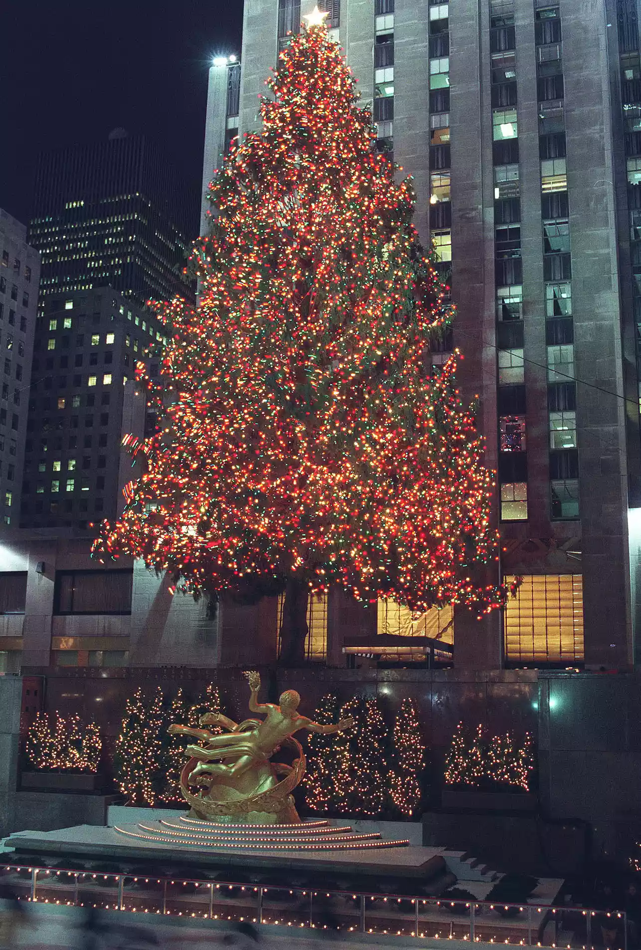 Da dove provengono gli alberi di Natale del Rockefeller Center di New York?  La storia della decorazione natalizia più famosa al mondo  | Image 481022