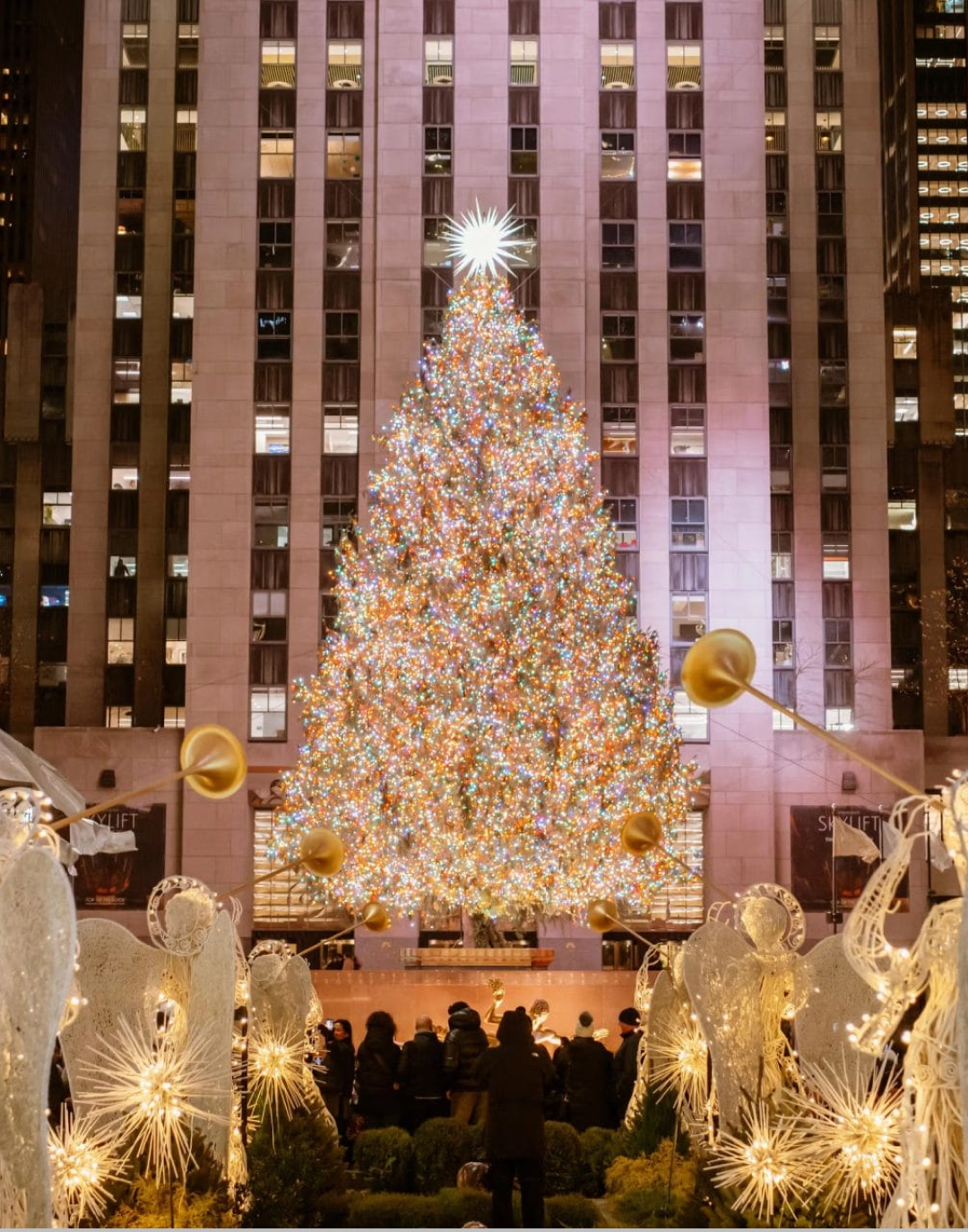 Da dove arriva l'albero di Natale del Rockefeller Center?  La storia della decorazione natalizia più famosa al mondo