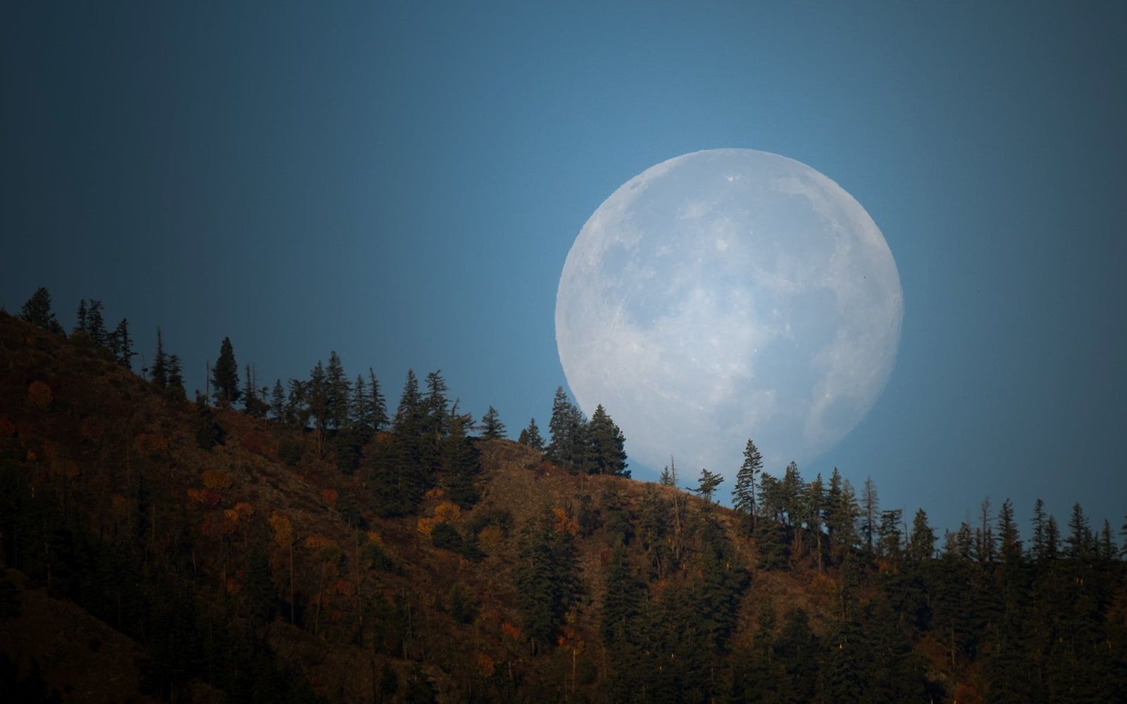 December full moon: The Cold Moon says goodbye to 2023