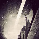 The Light of Gavin Hammond