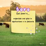 May 2024 horoscope The astrological forecasts and important dates to go and touch grass | Image 500524