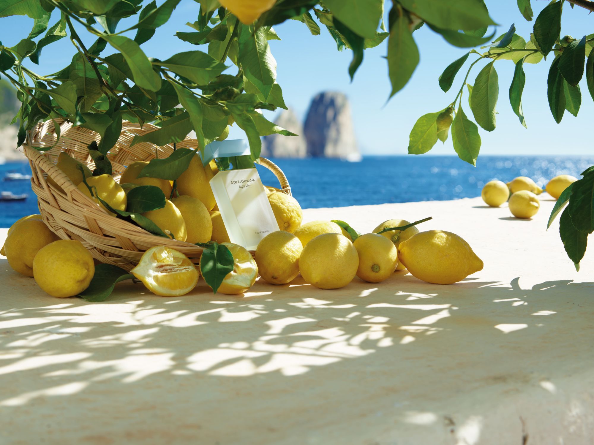 Dolce&Gabbana: l'estate italiana profuma di Light Blue Le fragranze per lei e per lui che celebrano l'amore baciato dal sole di Capri | Image 511765
