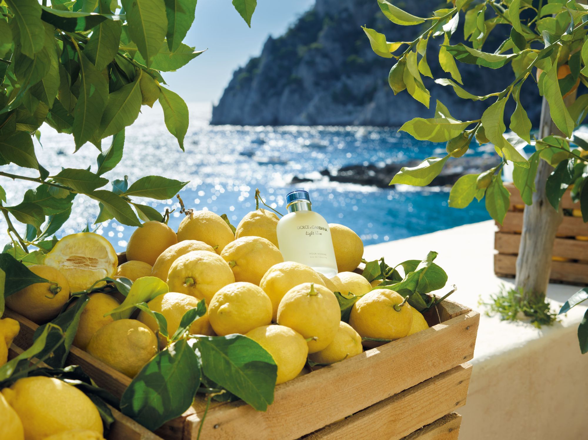 Dolce&Gabbana: l'estate italiana profuma di Light Blue Le fragranze per lei e per lui che celebrano l'amore baciato dal sole di Capri | Image 511764